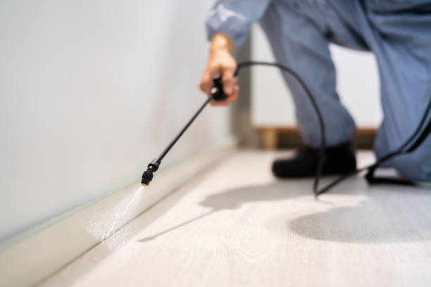 Rodent Entry Point Assessment in Mount Carmel