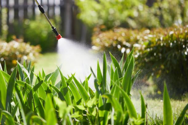 Tamper-Resistant Bait Stations for Rodents in Mount Carmel
