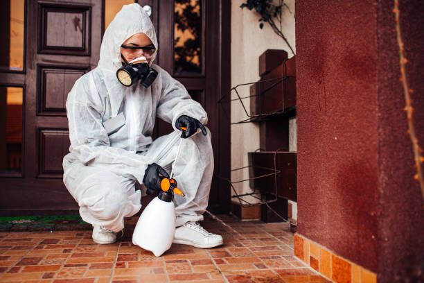 Attic and Crawl Space Rodent Treatment in Mount Carmel